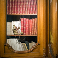 Museo de Artes Decorativas